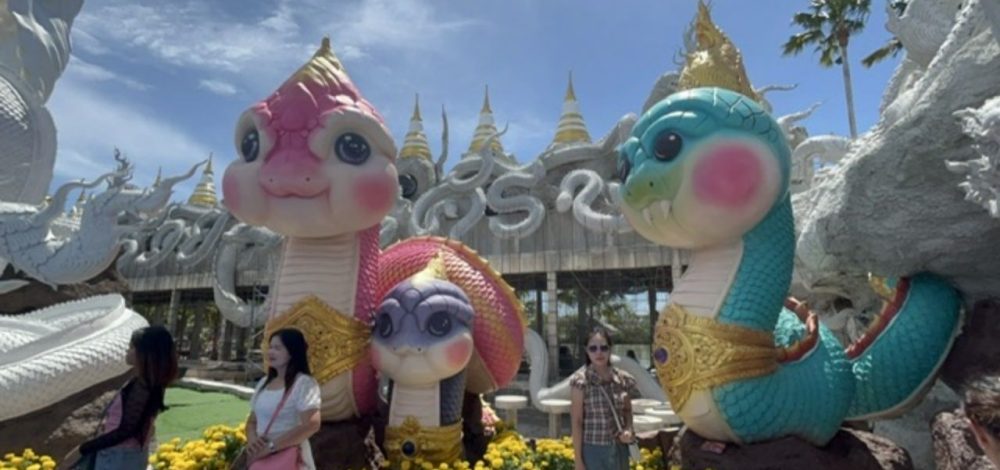 คนแน่นวัดดอนใหญ่ แห่ชม 'พญานาคน้อย' สายมูไม่พลาดขอ 'เลขเด็ด' ท้าวเวสฯ-ไอ้ไข่