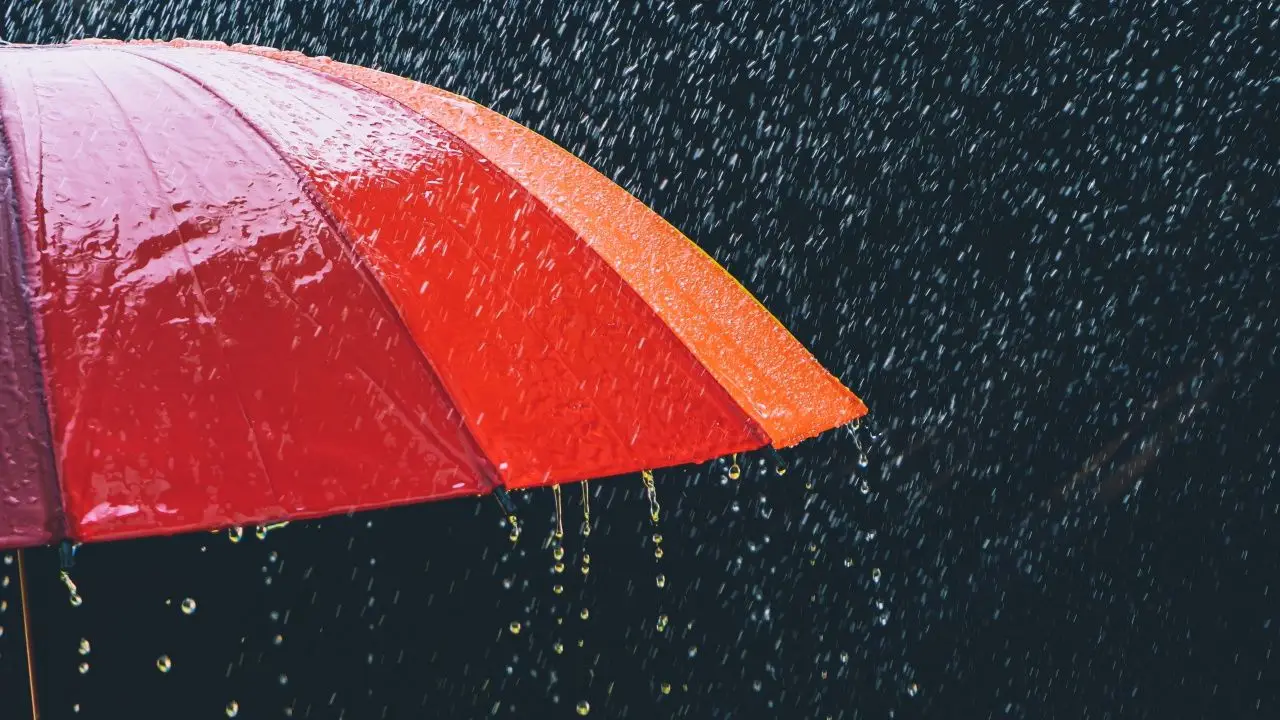 เลือกตั้ง 8 ก.พ. 69 อย่าลืมพกร่ม หลายจังหวัดเจอ 'ฝนตก' เช็กเลยที่ไหนบ้าง