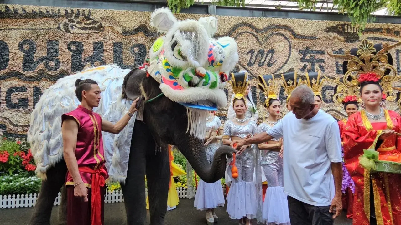 'ตรุษจีน 2569' สวนนงนุชพัทยา จัดขบวนช้างแสนรู้ เชิดสิงโตสุดยิ่งใหญ่ รับนักท่องเที่ยว