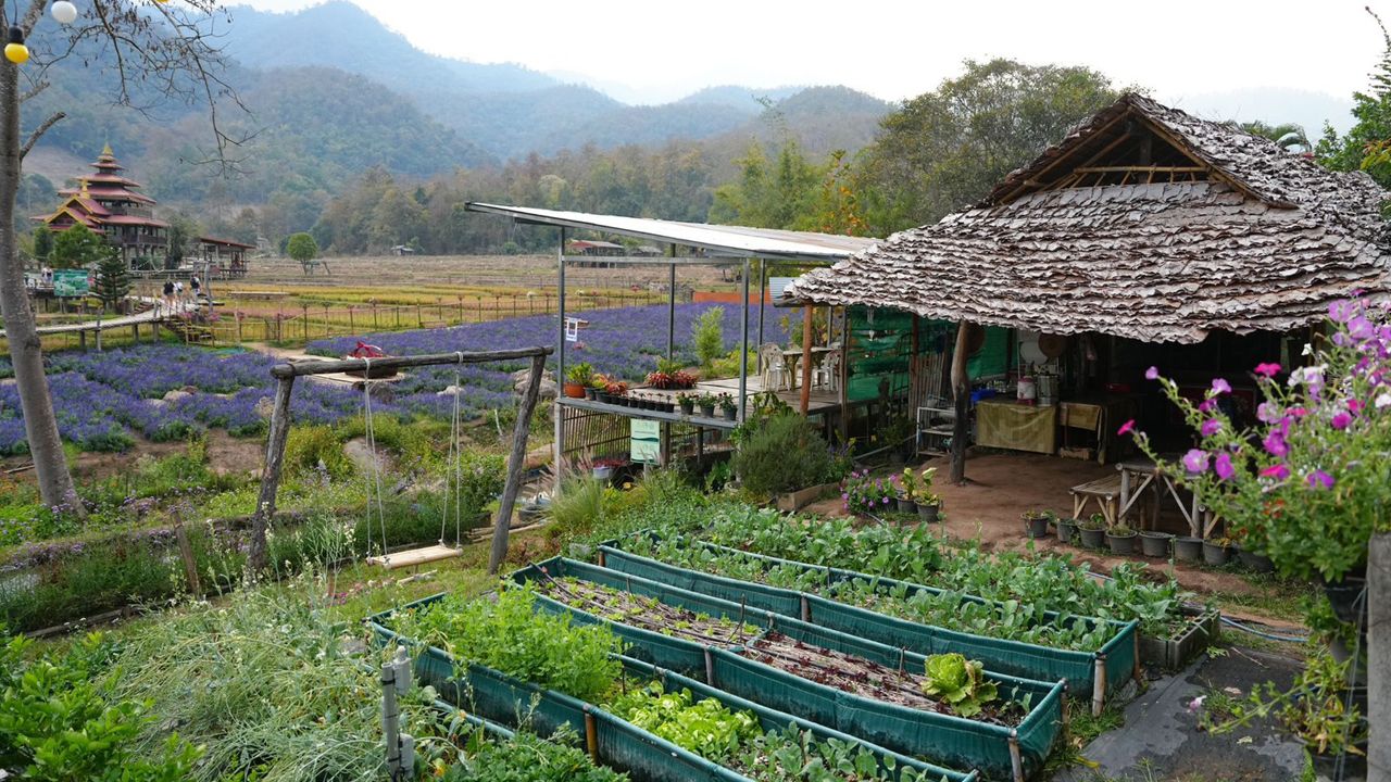 ปักหมุด 'แพมบกแม่ฮ่องสอน' เที่ยวชุมชน 'UNSEEN THAI THAI' เช็กอินสะพานบุญโขกู้โส่-ชิมสำรับไทใหญ่