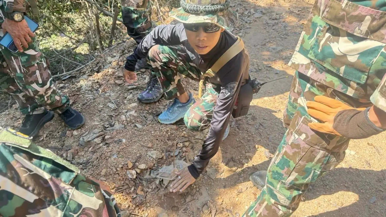 รอยเท้าคล้ายเสือโผล่อีก ในป่าเชียงใหม่ กล้องดักถ่ายสัตว์ เจอแต่ 'หมาใน' นักล่า