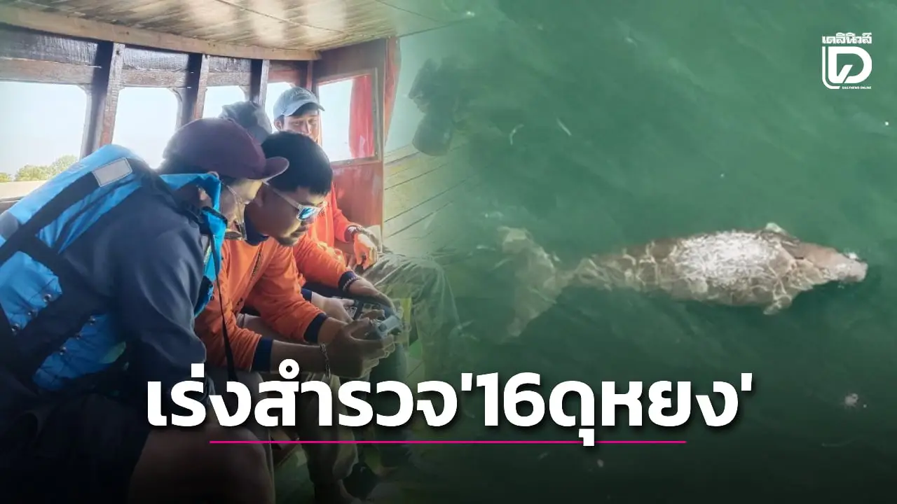 อนุรักษ์ดุหยง! พบ ‘พะยูน’ สัตว์หายาก 16 ตัว ชี้สภาพทะเลสมบูรณ์เร่งสำรวจ