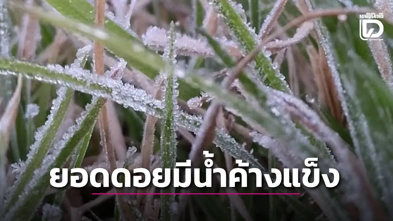 'เหนือ' ยอดดอยหนาวจัดมีน้ำค้างแข็ง 'ใต้' มีฝนฟ้าคะนองร้อยละ 10
