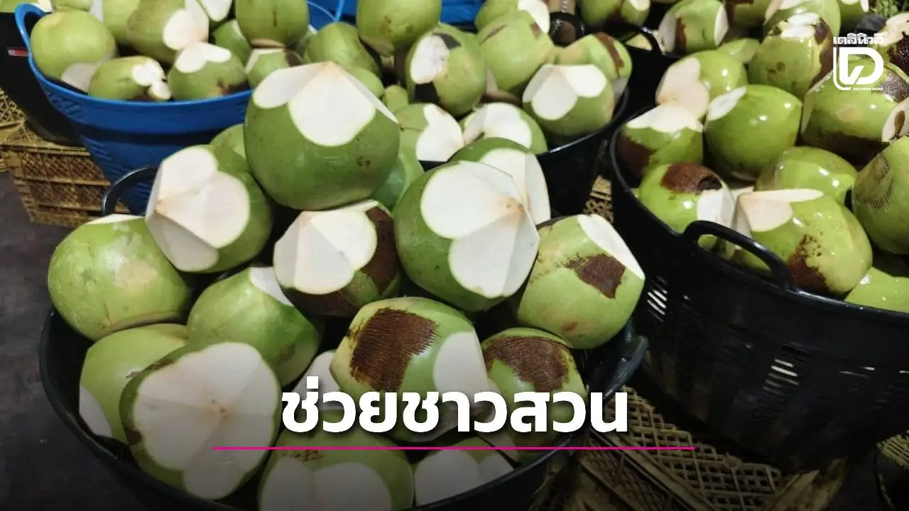 เริ่มแล้ววันนี้ อ.ต.ก. ชวนคนกรุงอุดหนุนเกษตรกร ส่งตรงจากสวน