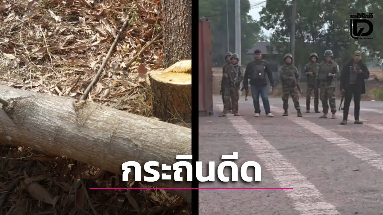 สลดประจันตคาม! พ่อเฒ่าวัย 64 ตัดไม้กระถินเทพาดีดใส่หน้า ดับสลดต่อหน้าลูกชาย แม้เตือนแล้วแต่ไม่ฟัง