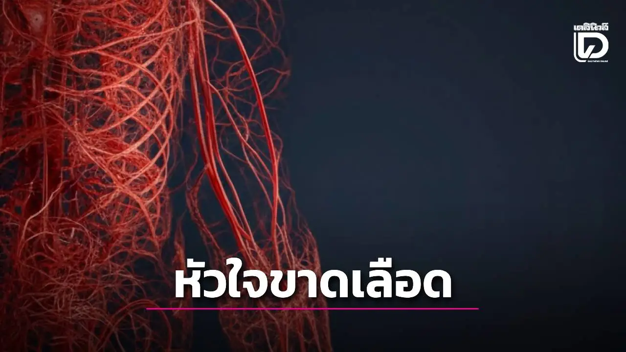 'กู้คืนหัวใจก่อนสายเกินแก้! เผยเคล็ดลับออกกำลังกาย สกัดกั้นวงจร ‘หัวใจขาดเลือด’ ทุกระยะ'