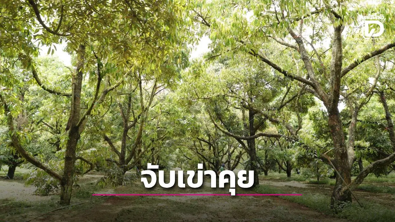 จับเข่าคุยเปิดทางผลไม้ไทยผ่านท่าขี้เหล็กสู่จีนผ่าน R3B