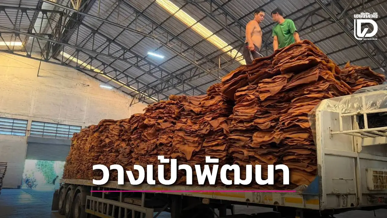 วางเป้า พัฒนาห่วงโซ่อุตสาหกรรมยาง ยกระดับมาตรฐานตลาด