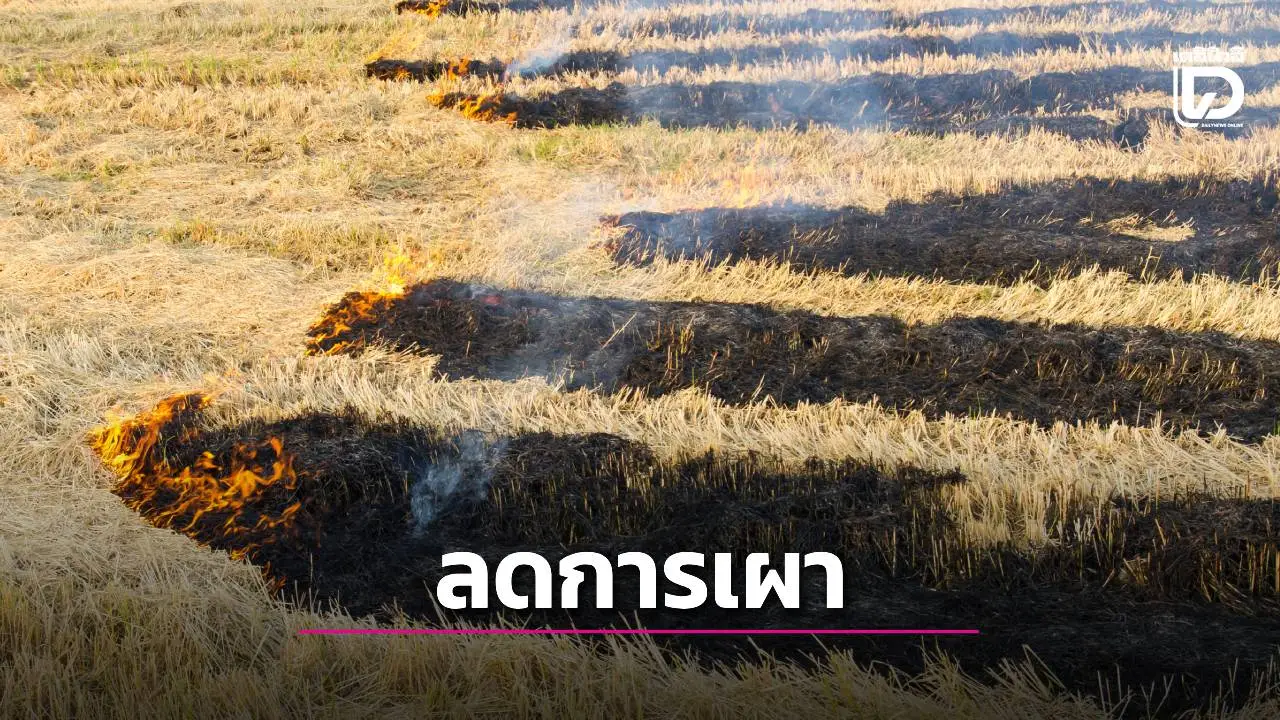 แก้ปัญหาหมอกควัน และฝุ่น PM 2.5 เน้นรณรงค์ลดการเผาในภาคการเกษตร