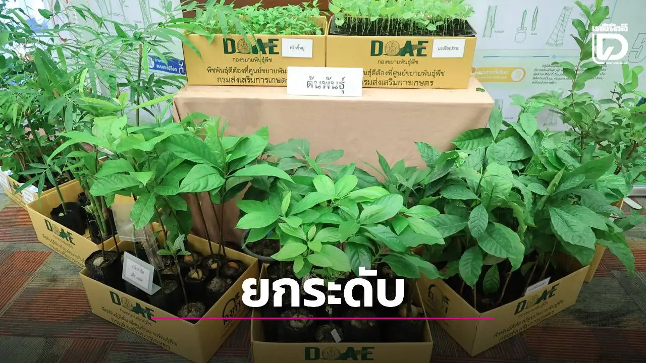 ยกระดับ 4 สายการผลิตพืชพันธุ์ดี เพิ่มประสิทธิภาพการผลิตภาคการเกษตร
