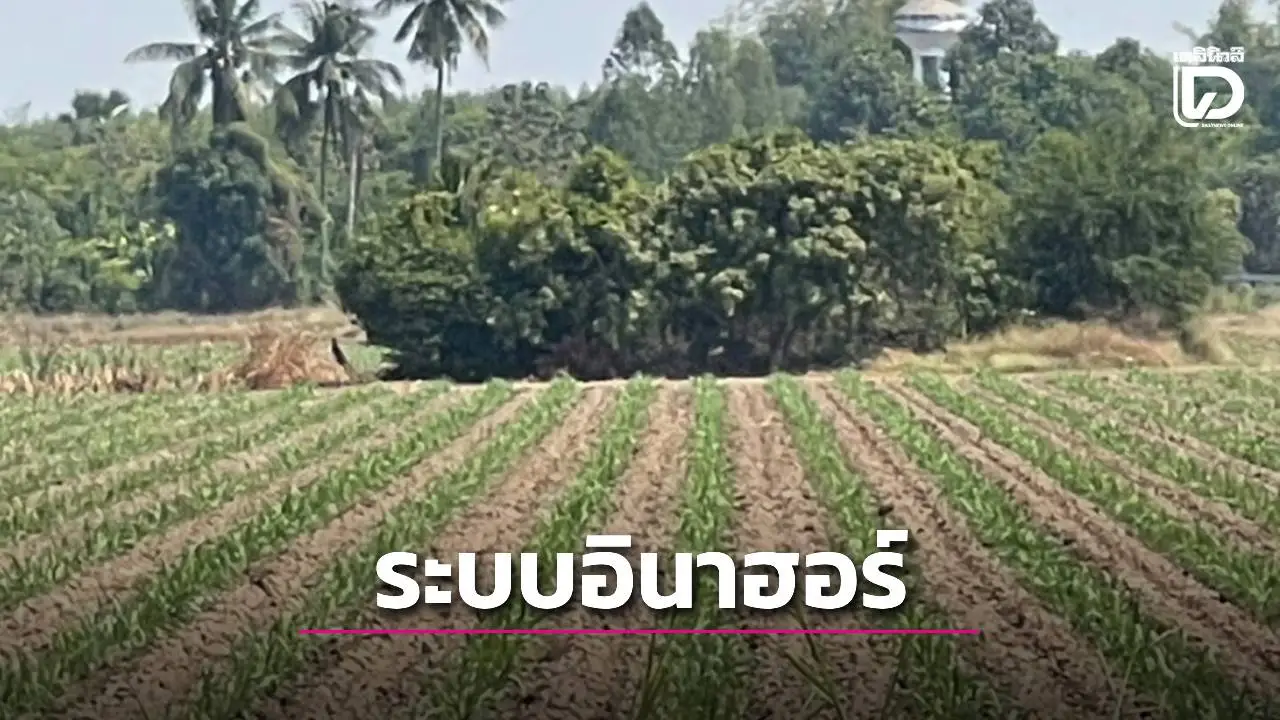 ชูระบบอินาฮอร์ (INAHOR) ติดตามพื้นที่ปลูกข้าวแม่นยำ