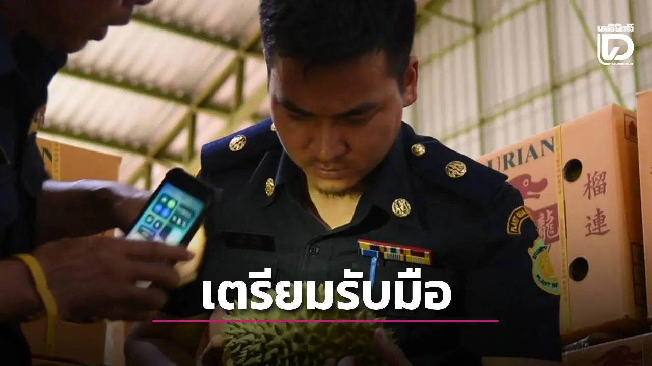 เตรียมรับมือฤดูกาลส่งออกทุเรียนป้องตลาดส่งออกไปจีนแสนล้าน