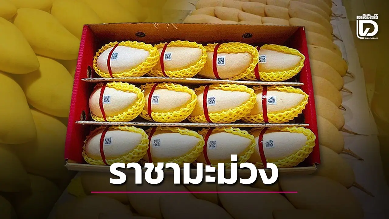 เปิดลิสต์ 5 อันดับ ราชามะม่วง GI สายพันธ์ไหนได้รับความนิยมสูงสุด