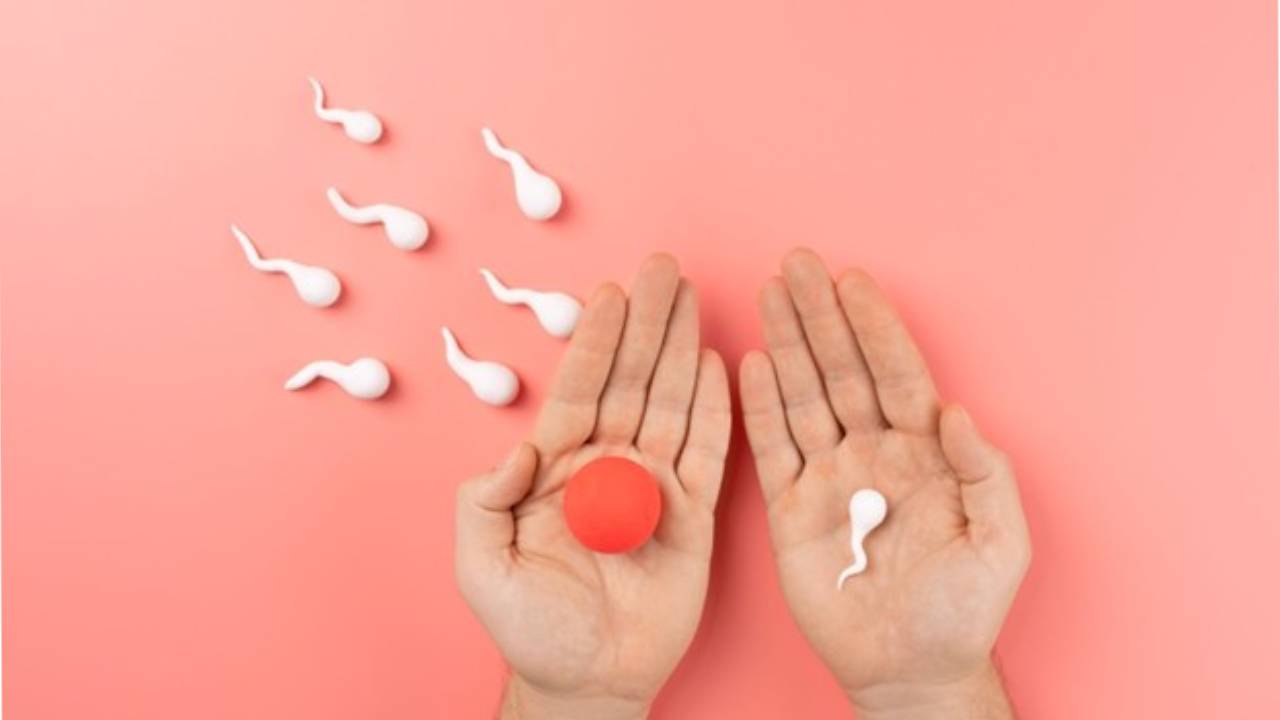 การฝากไข่มีขั้นตอนการเตรียมตัวอย่างไร เพื่อผลลัพธ์ที่ดี ?