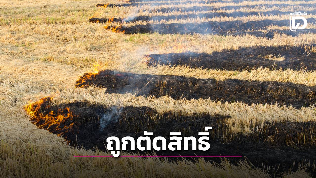 เอาจริง พบการเผาในพื้นที่เกษตรกรจะถูกตัดสิทธิ์เข้าร่วมโครงการกระทรวงเกษตรฯ 2 ปี