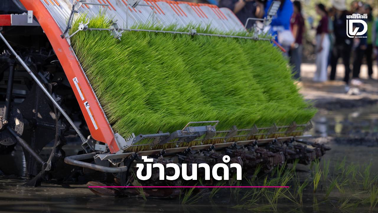 ชวน 'ปลูกข้าวนาดำ' ทางรอดแก้สมการโลกร้อนอย่างยั่งยืน