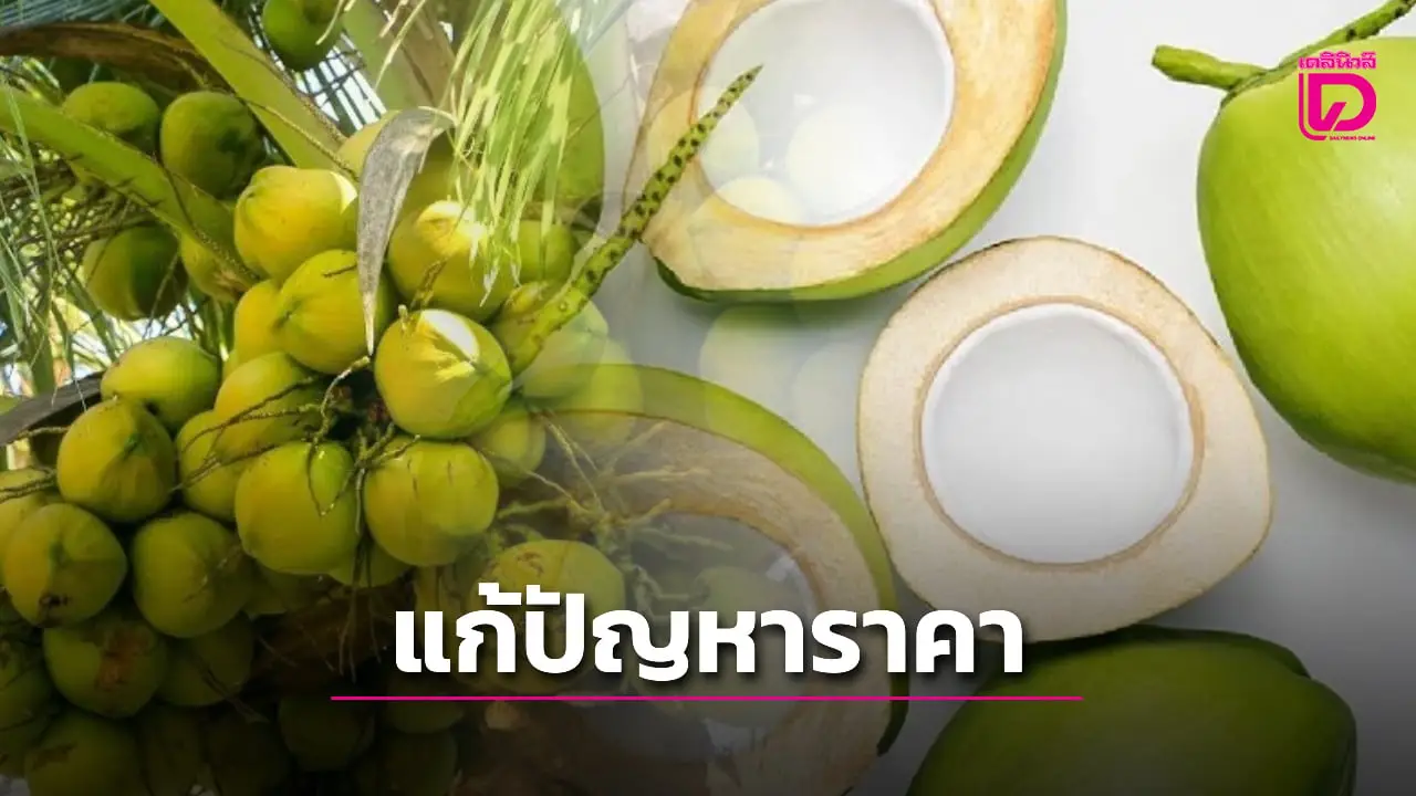 รัฐเร่งแก้ปัญหาราคา ‘มะพร้าวน้ำหอม’ ลุยตรวจล้งนอมินี ขยายตลาดใหม่
