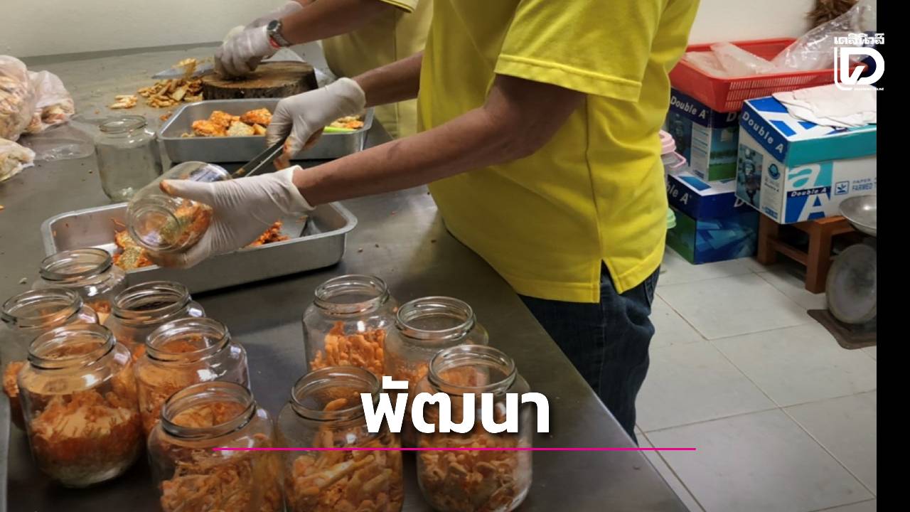 พัฒนา'เห็ดถั่งเช่าสีทอง' ให้ได้ผลผลิตและสารสำคัญสูง ตอบโจทย์ตลาดสมุนไพร