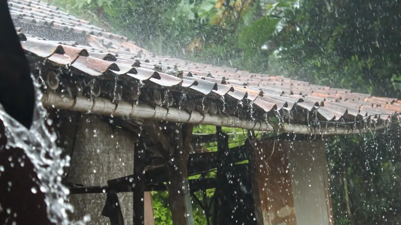 กรมอุตุนิยมวิทยา เตือน 'พายุฤดูร้อน' ช่วง 11 - 13 มี.ค. ฝนฟ้าคะนอง ลมกระโชกแรง