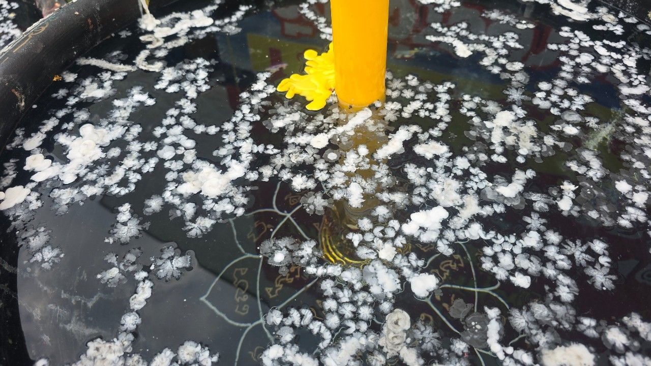 ไม่พบหัวข้อ