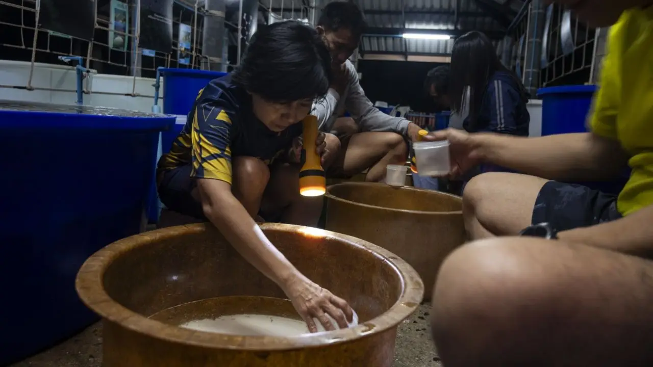 คนไทยคนแรก 'อ.จุฬาฯ' คว้ารางวัล Pew Marine Fellowship 2026 ด้านการอนุรักษ์ทะเล