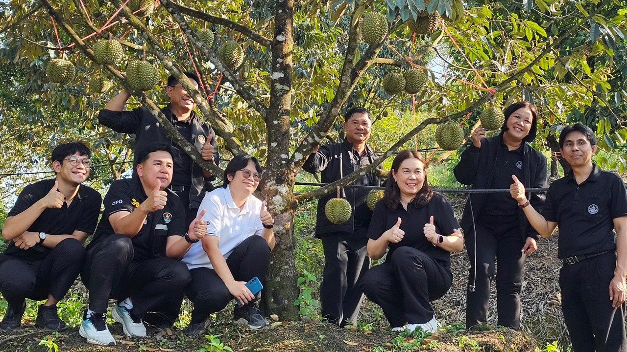 กรมส่งเสริมสหกรณ์ งัด 4 มาตรการรับมือผลไม้ปี 69 ดัน 'สินค้า GI' บุกโมเดิร์นเทรด