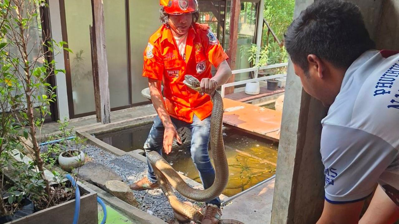 ไม่พบหัวข้อ