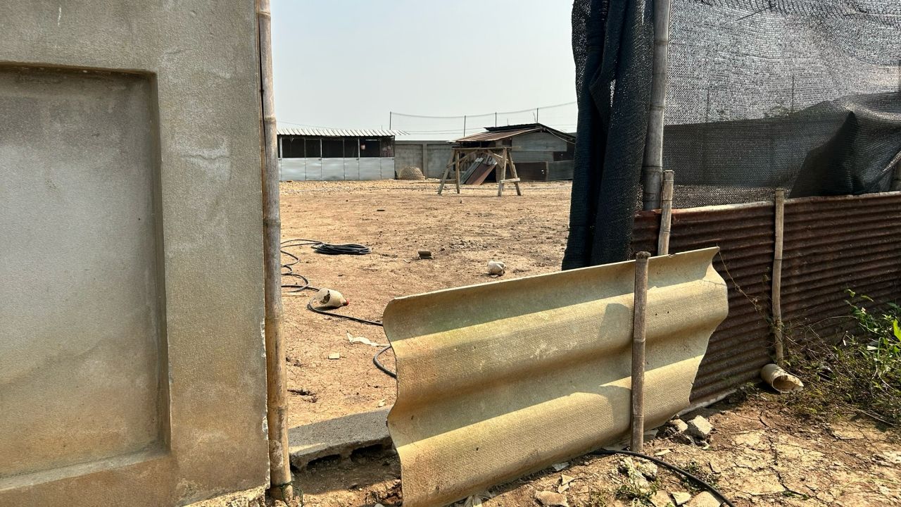 อุกอาจ 3 วายร้าย ย่องเข้าเล้าไก่ ไล่กัดตาย 20 ตัว อีกตัวร่อแร่