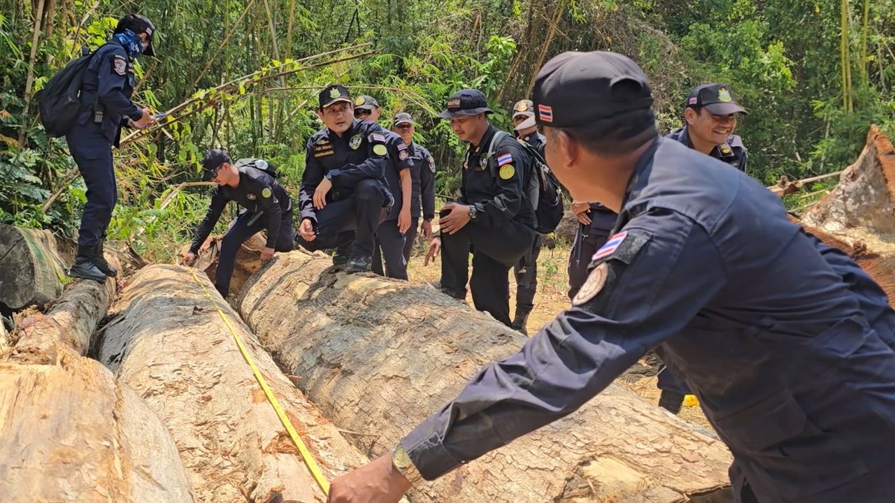 แจ้งความเอาผิด ขบวนการฮุบป่า 'เขาปากเตรียม' คาดโยงเจ้าหน้าที่รัฐ-ผู้มีอิทธิพล