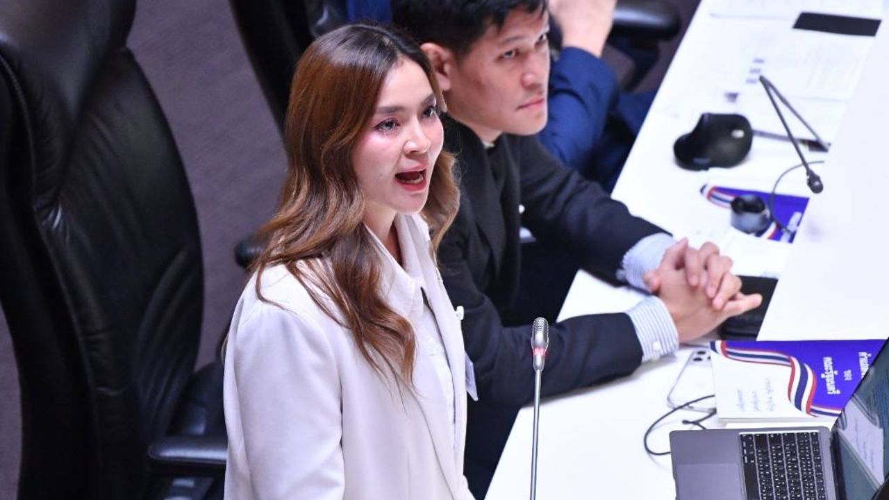 'พนิดา' ซัดรัฐบาลเมินประชามติ 21.6 ล้านเสียง ลั่นปชน.เดินหน้าเสนอร่างแก้ไขรายมาตรา