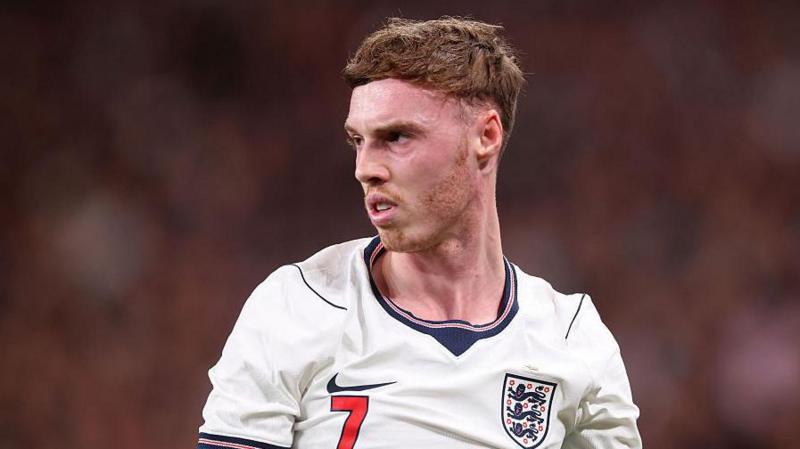 ไม่พบหัวข้อ