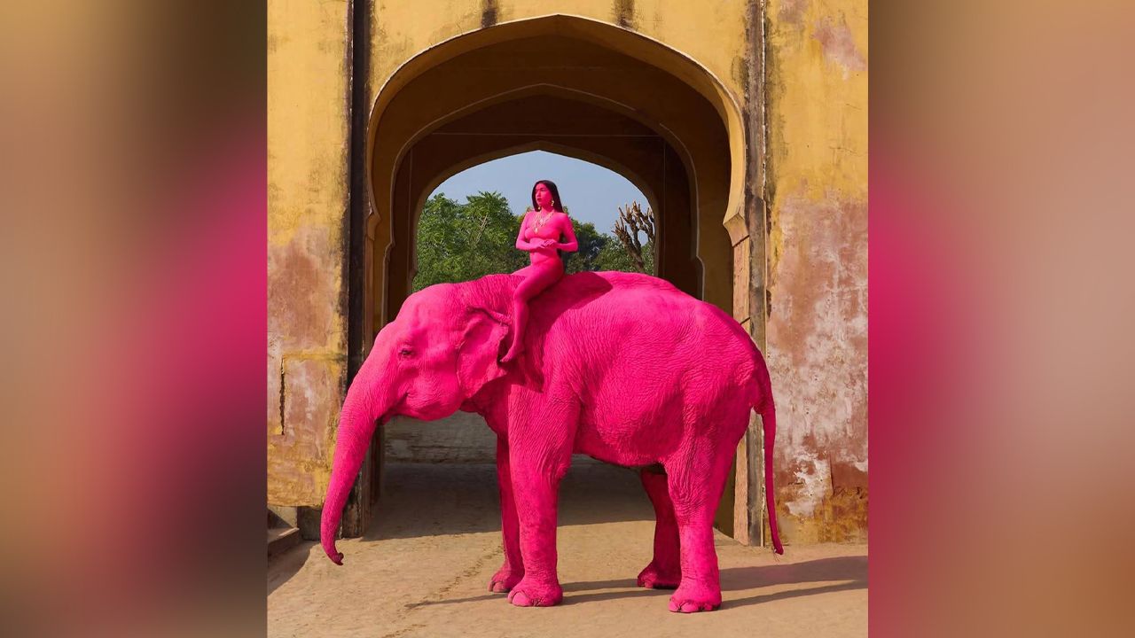 อินเดียวิจารณ์เดือด ศิลปินจับช้างทาสีชมพูทั้งตัวเพื่อถ่ายแบบ ก่อนที่ช้างจะตายใน 3 เดือนต่อมา