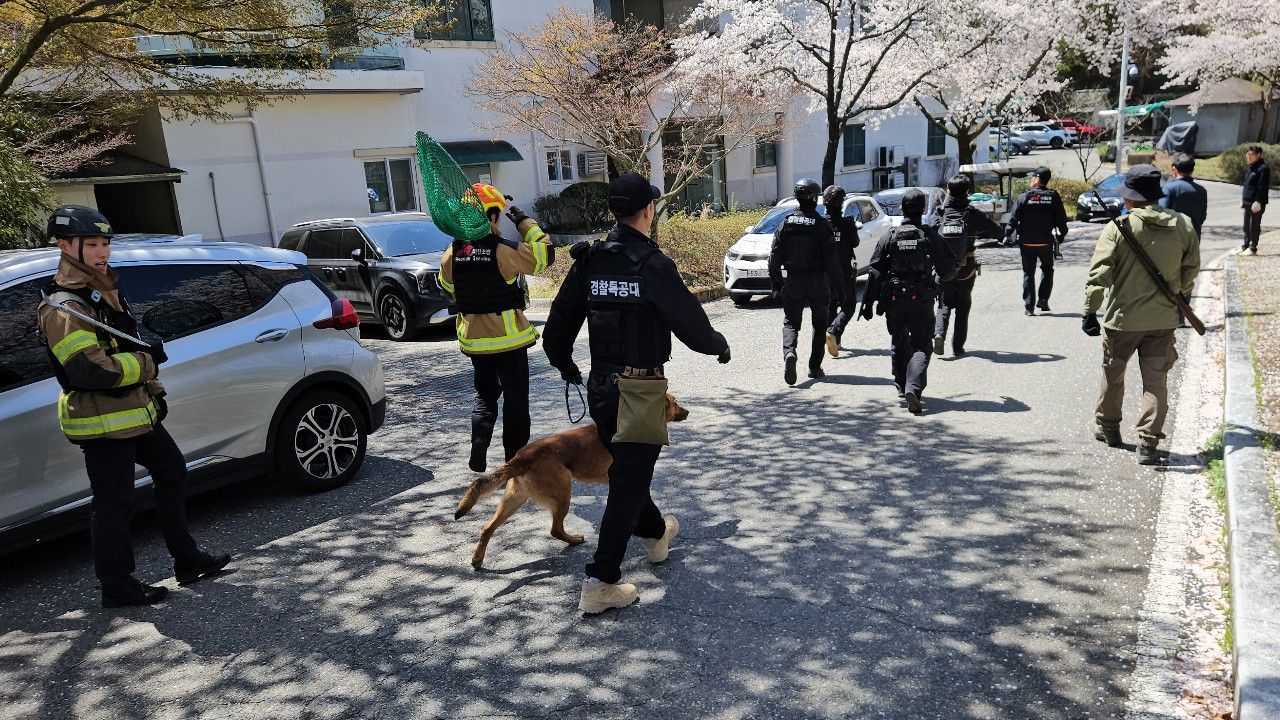 จับได้แล้ว หมาป่าหลุดสวนสัตว์เกาหลีใต้ หลังหลบหนี 9 วัน ลุ้นทั้งประเทศ