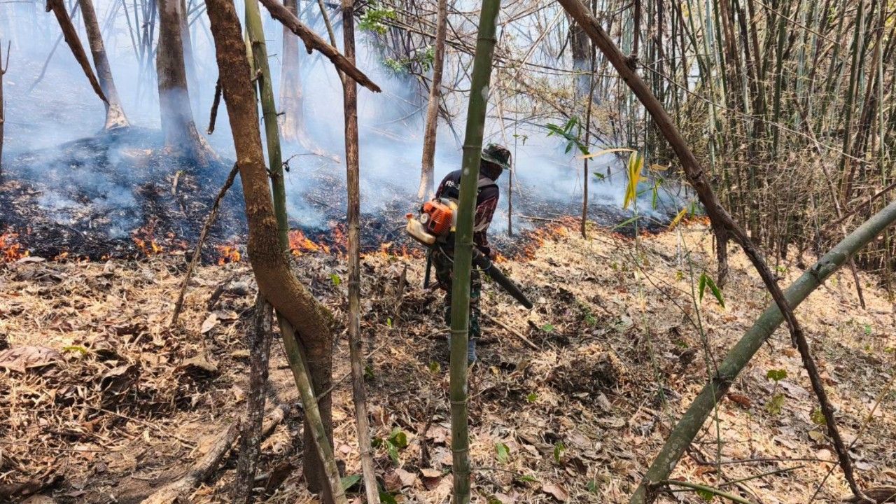 คุมไฟป่า 'อุทยานแห่งชาติศรีลานนา' สำเร็จ รัฐบาลประชาชนร่วมมือ 'งดเผาทุกกรณี'