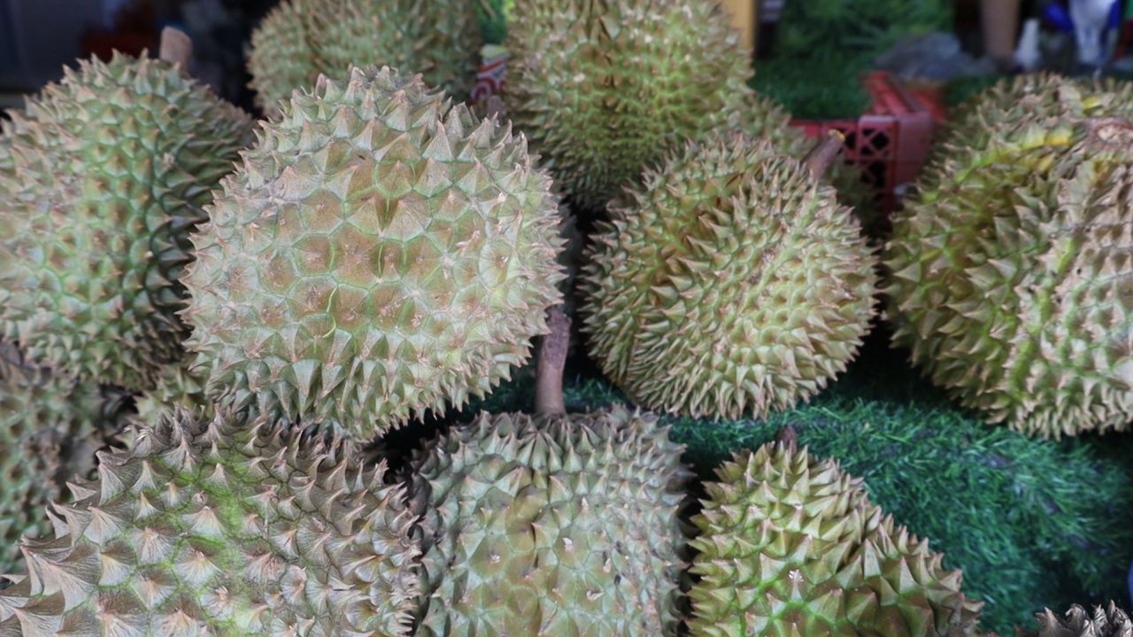 พ่อค้าแม่ค้าทุเรียนบุรีรัมย์ มั่นใจ ลูกละ 100 บาท ไม่กระทบ ยอดขาย บอกคนกินเขารู้กัน