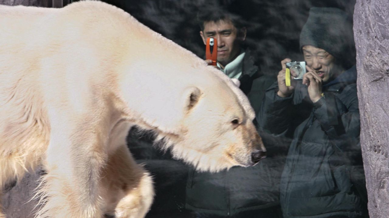 พนักงานสวนสัตว์ญี่ปุ่น นำศพภรรยาไปเผาในเตาเผาซากสัตว์