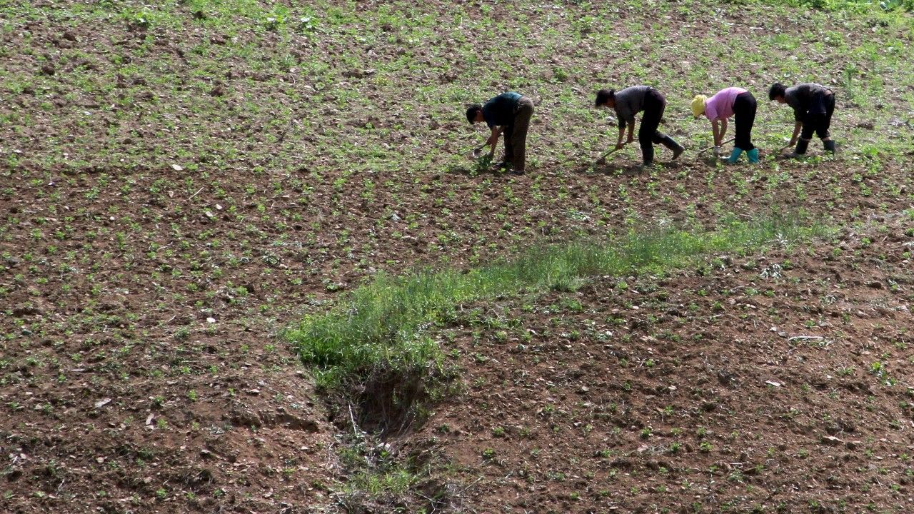 เกาหลีเหนือเผชิญภัยแล้งรุนแรงผิดปกติ เสี่ยงกระทบแหล่งอาหารทั้งประเทศ