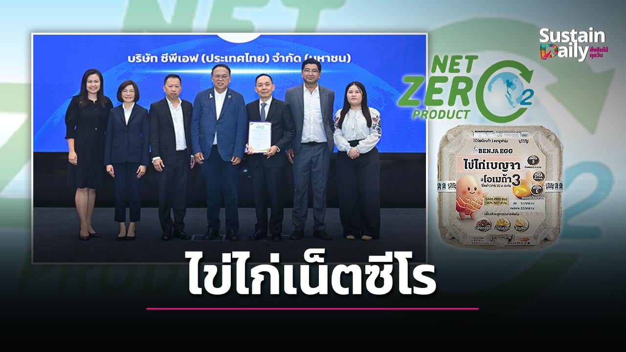 ซีพีเอฟปั้น ‘ไข่ไก่เน็ตซีโร’ รายแรกในโลก ชูฟาร์มลดคาร์บอนทั้งระบบ