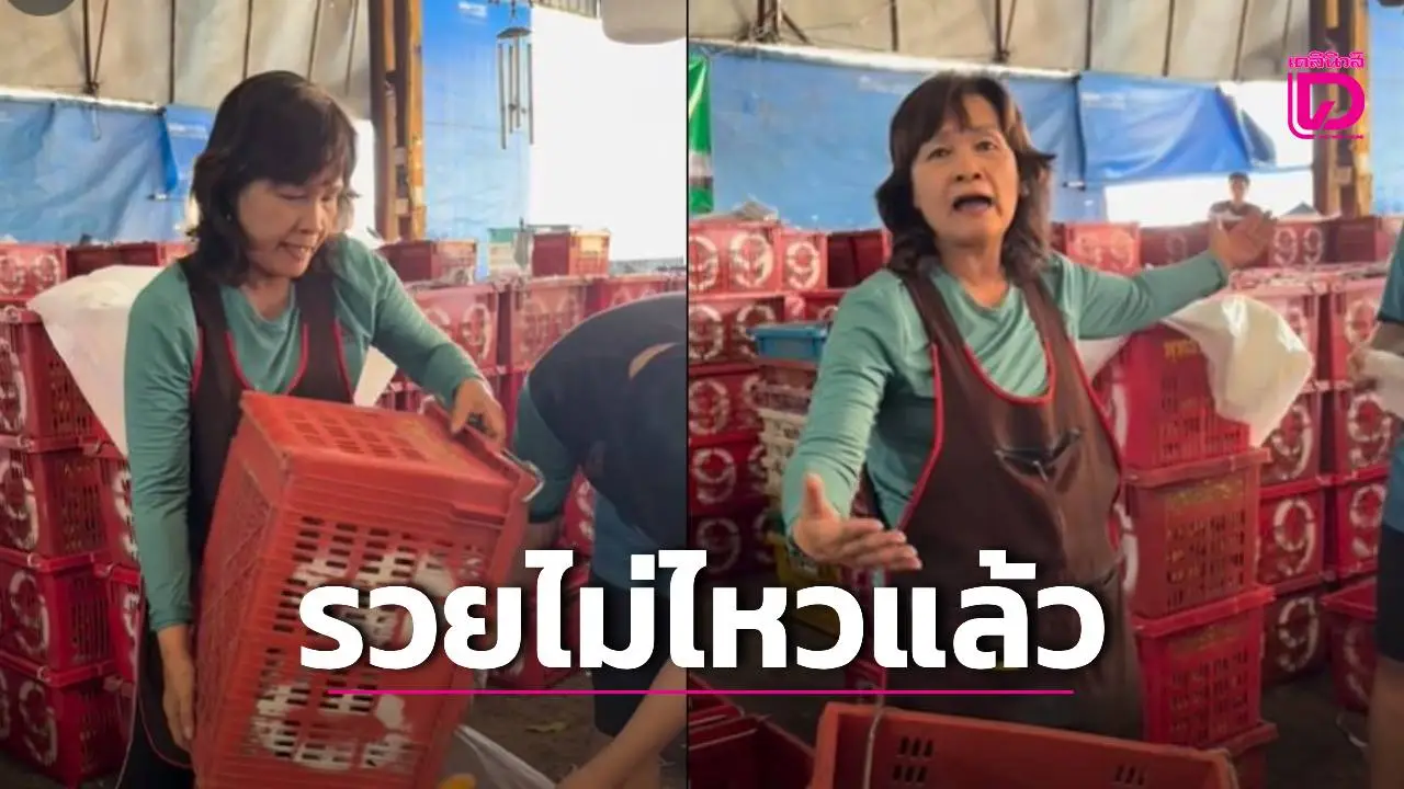 มะม่วง 3 บาท! เกษตรกรประชดชีวิต 'รวยไม่ไหวแล้ว' ตัดพ้อรัฐน้ำมันแพงแต่คนทำสวนตายเรียบ