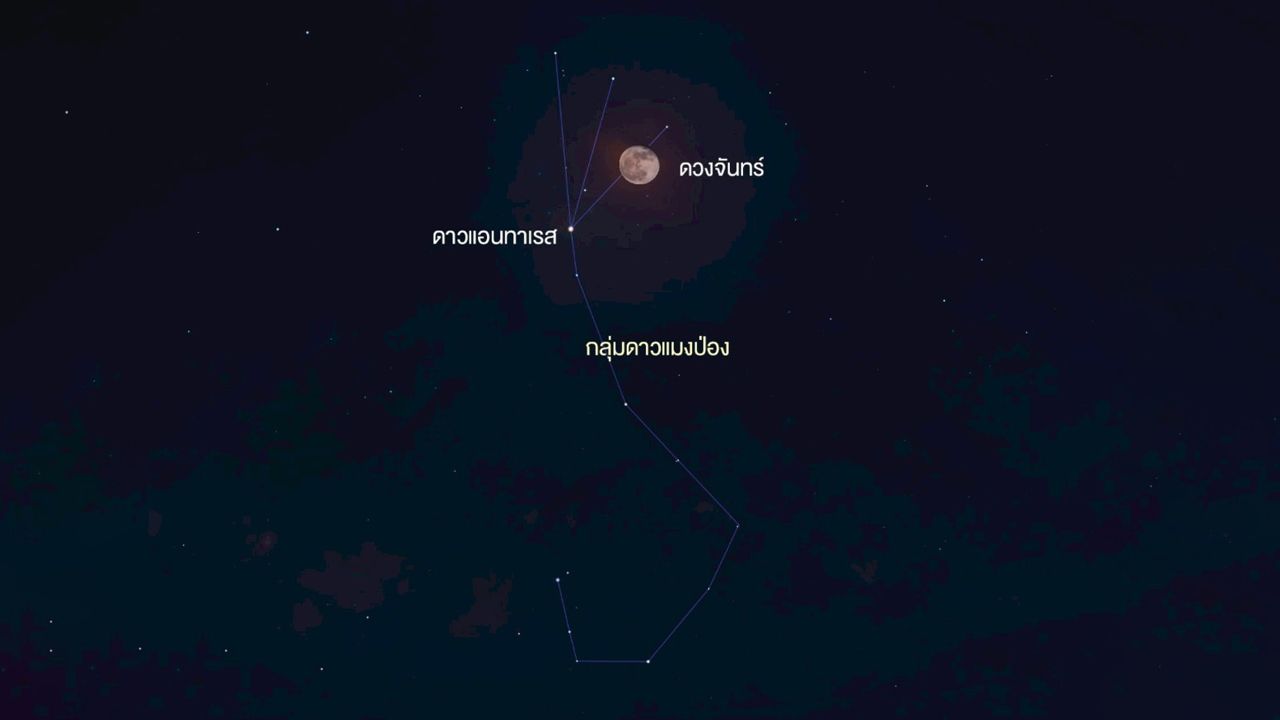 3 พฤษภาคม 2569 ชวนดู 2 ปรากฏการณ์ 'ดาวเคียงเดือน-ดาวหางแพนสตาร์ส'
