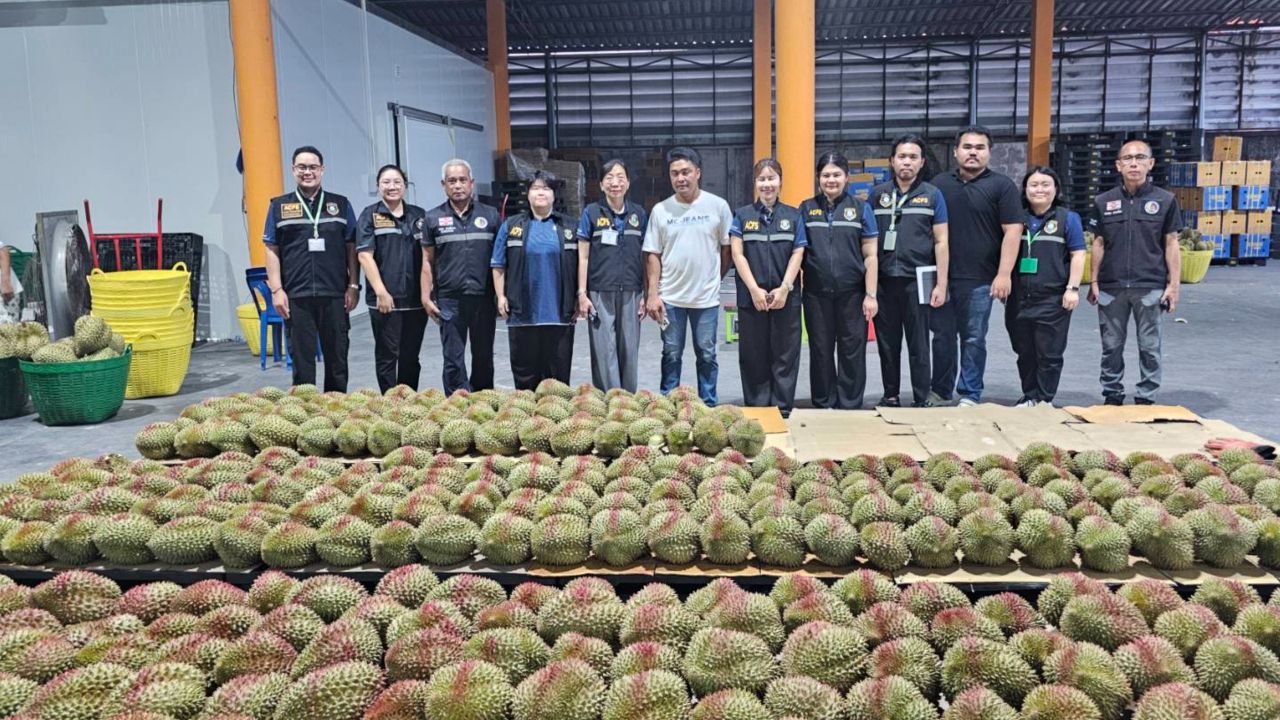 ตรวจพบทุเรียนอ่อน กว่า 500 ลูก ที่ล้งผลไม้ จ.จันทบุรี สั่งรื้อทำตำหนิห้ามส่งออก