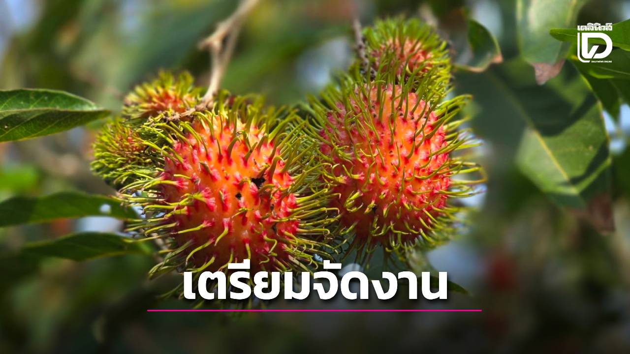 ชง 4 มาตรการกระตุ้นบริโภคผลไม้ไทย เตรียมจัดงานผลไม้ 4 ภาค
