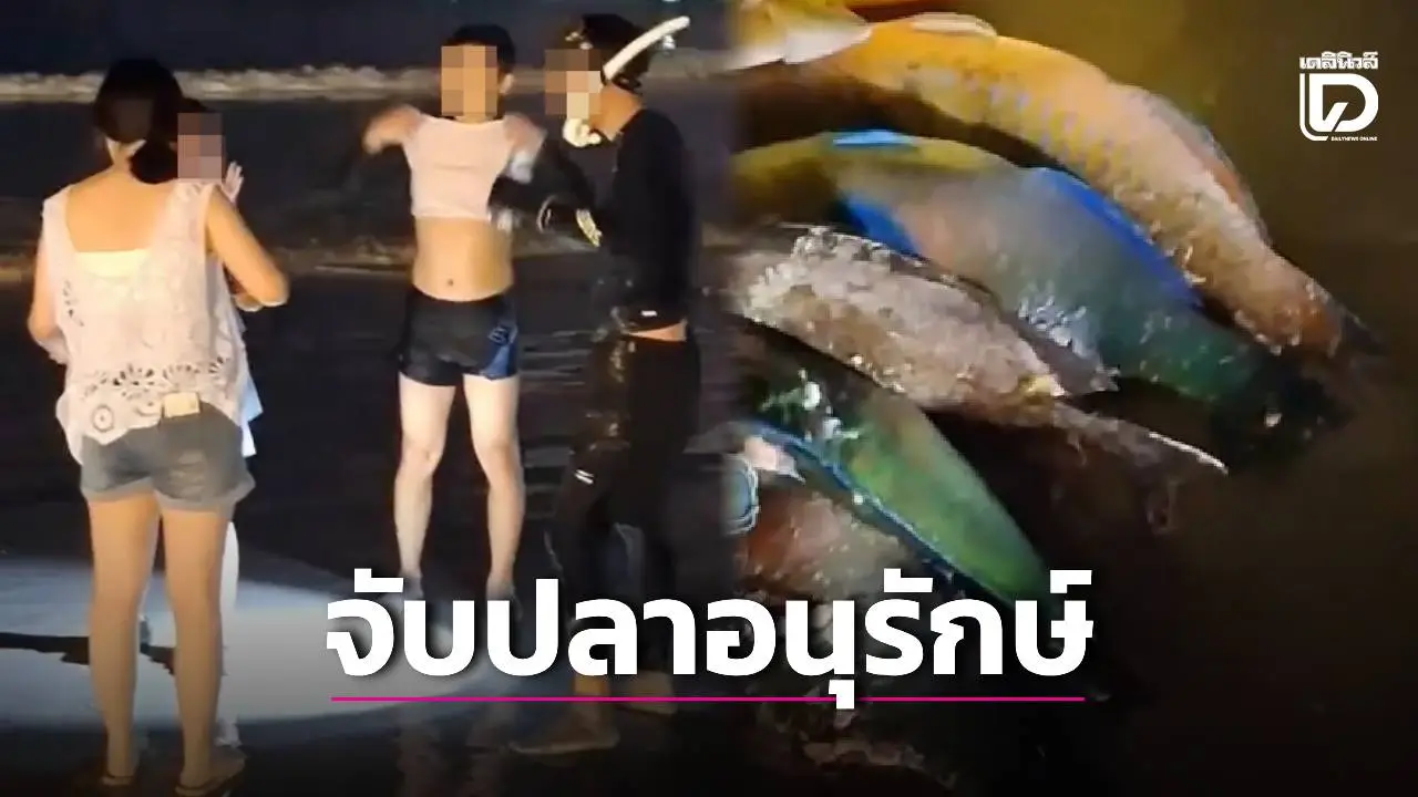 นักท่องเที่ยวจีนดำน้ำยิงปลาอนุรักษ์ หิ้วปลาดาวถ่ายรูปริมหาดภูเก็ต