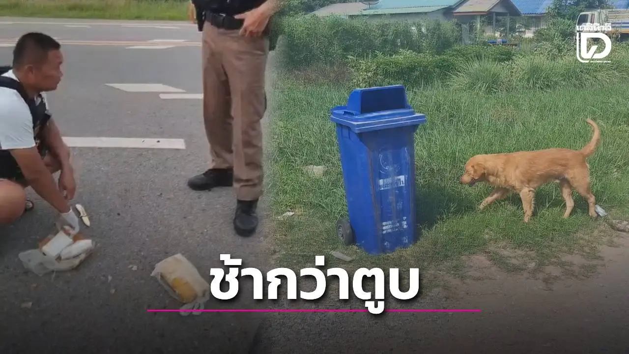 แก๊งยาช้ากว่าตูบ! เจอกัดแฉยาบ้า 1.2 หมื่นเม็ด วางซุกเสาไฟจุดนัดรับ