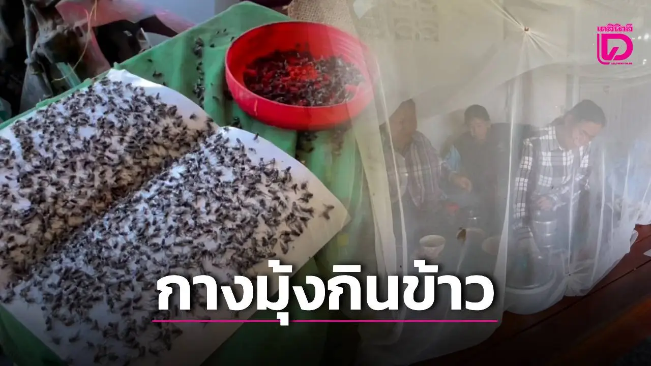 ชาวบ้านร้อง ‘ฝูงแมลงวันนับล้าน’ บุกยึดชุมชนหวั่นติดโรคระบาด