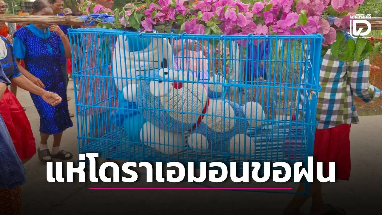 ชาวบ้านใช้ตุ๊กตา ‘โดราเอมอน’ จับใส่กรงทำพิธีแห่นางแมวขอฝน