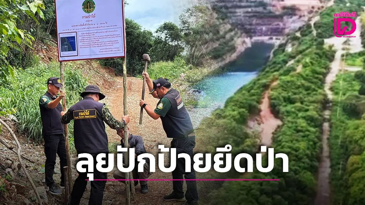 ป่าไม้-ตำรวจ ลุยปักป้ายยึดป่าปากช่อง! นายทุนลอบตัดถนนรุกป่าสงวนฯ