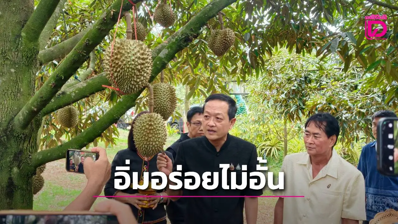 ชวนเที่ยวงาน ‘เทศกาลทุเรียนภูเขาไฟศรีสะเกษ’ ชิม ช้อป แช๊ะ อิ่มอร่อยแบบบุฟเฟต์ไม่อั้น!