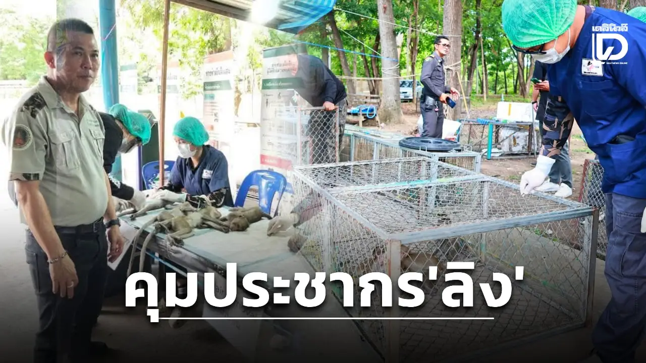 สบอ.3 เพชรบุรี เดินหน้าคุมประชากรลิงแสม ลุยทำหมันลอตใหม่ 400 ตัว