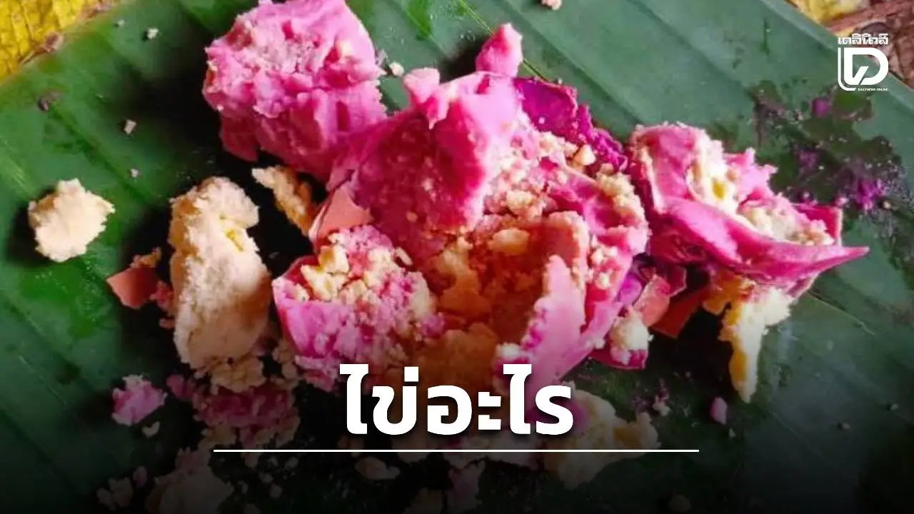 สั่งห้ามกิน! บุกตรวจร้านค้าแม่สะเรียง หลังชาวบ้านเจอ 'ไข่ไก่ต้มสีชมพู' กังวลไม่ปลอดภัย